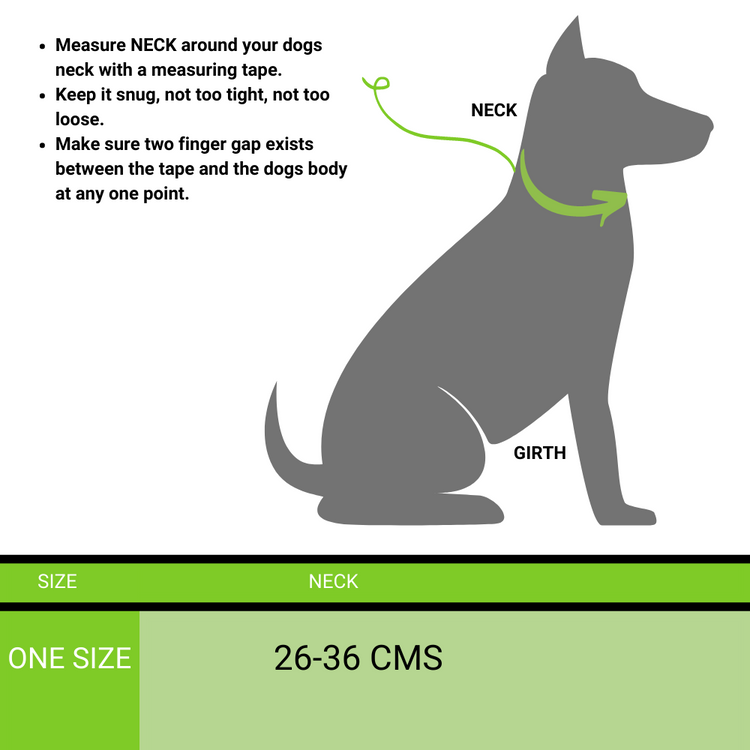 Reflective Puppy Collar For Street Rowdies