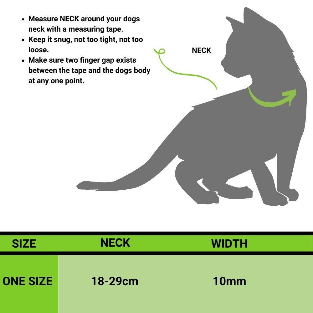 "Quirky Blue" Cat Collar