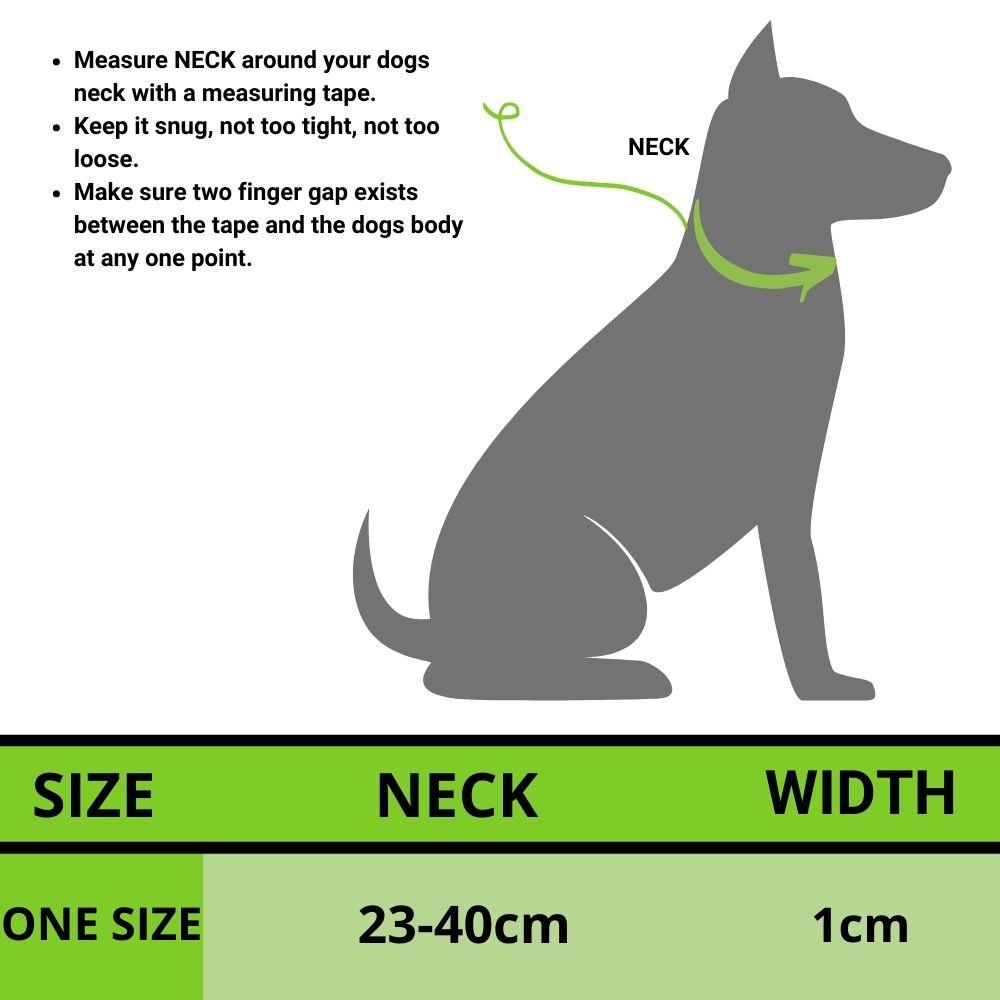 Mr.Bone Printed Dog Collar For Stray Puppies - Assorted