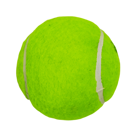 Poochles Cosco Ball Toy For Dog & Puppy - A Pawfect Fetch Toy (2in1)