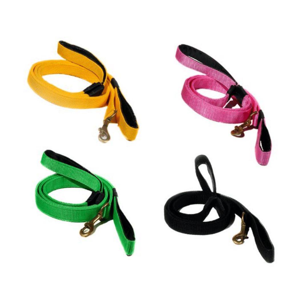Poochles Nylon 5 Feet Dog Leash With Double Handle For Extra Grip
