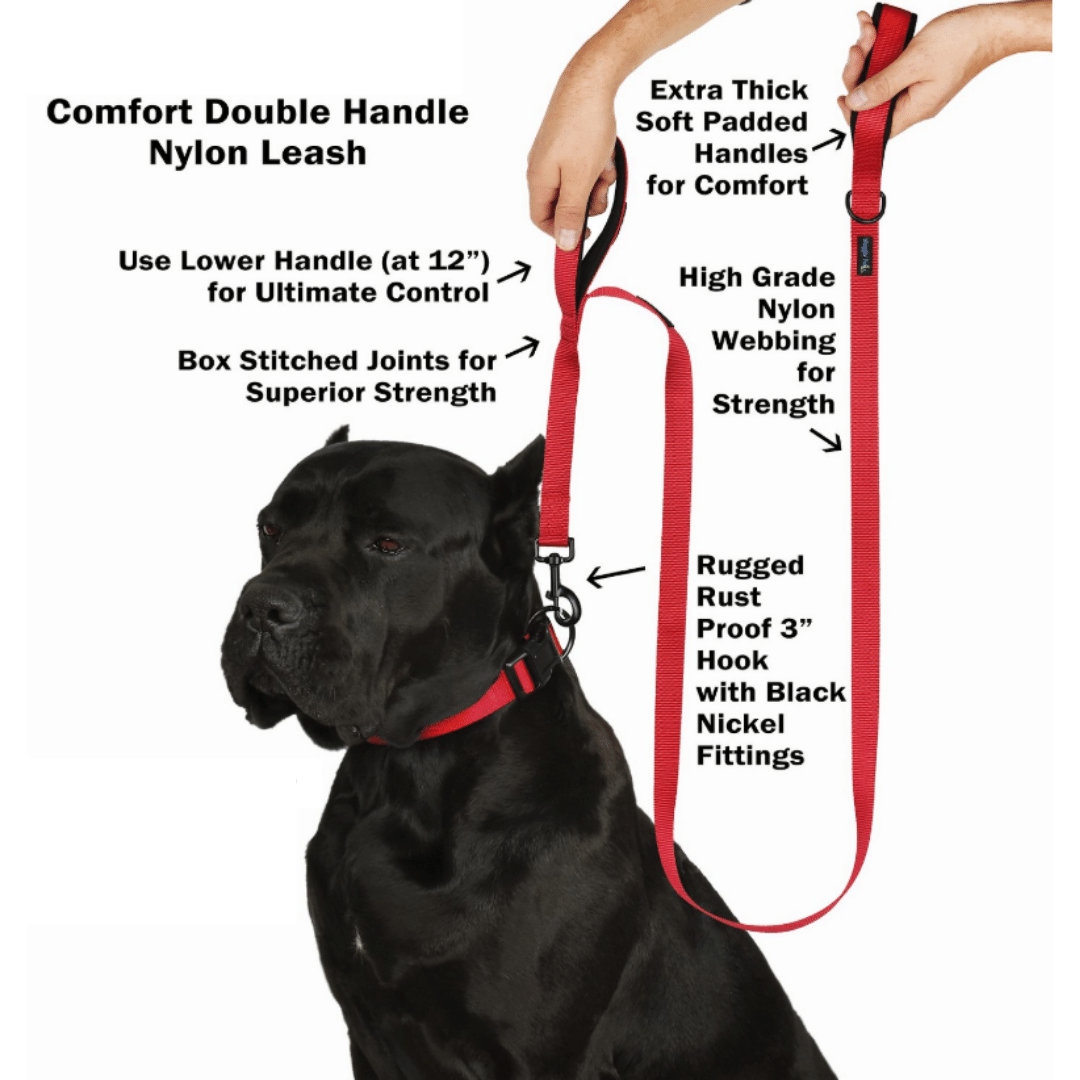 Poochles Nylon 5 Feet Dog Leash With Double Handle For Extra Grip