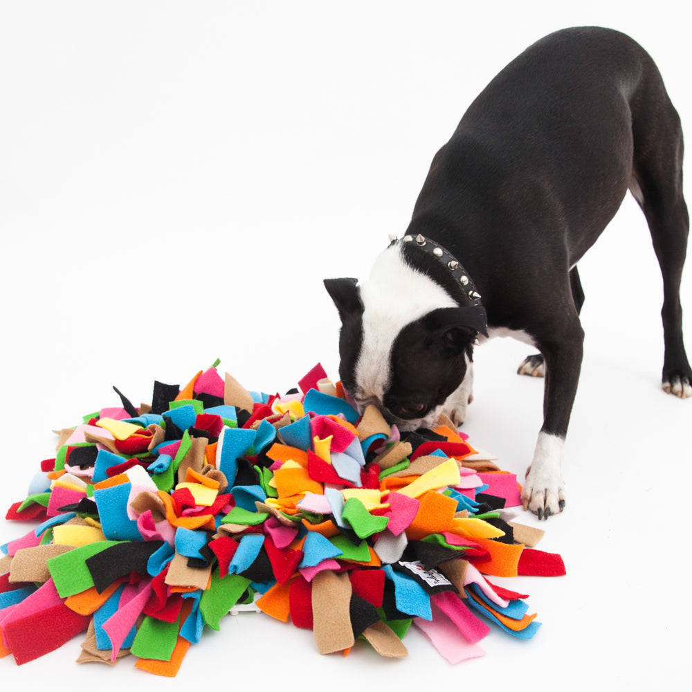 Dog Snuffle Puzzle Mat Toy + Feeding Mat 2in1