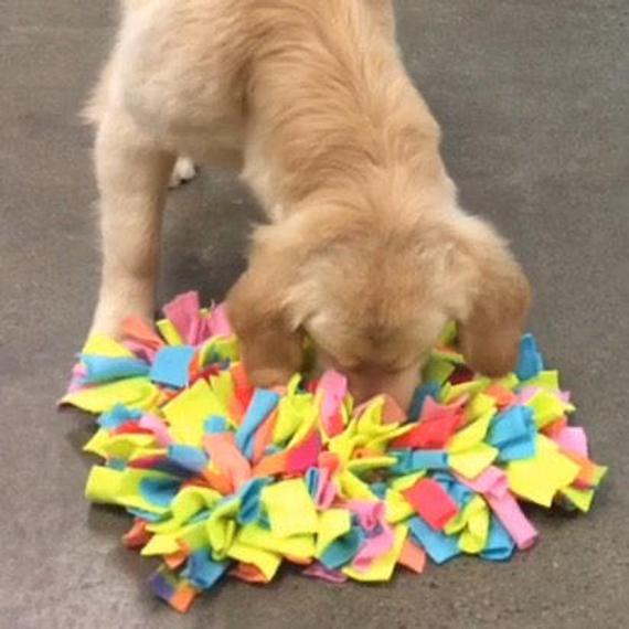 Dog Snuffle Puzzle Mat Toy + Feeding Mat 2in1
